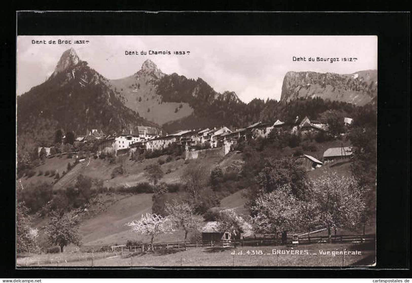 AK Gruyères, Vue Générale, Dent De Broc & Dent Du Chamois  - Gruyères