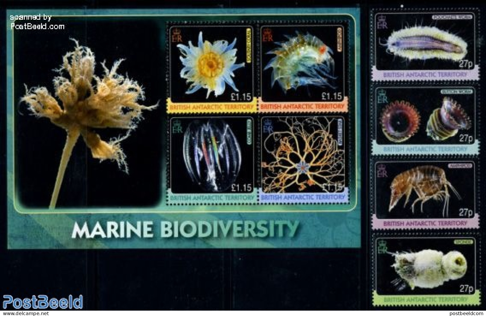 British Antarctica 2010 Marine Bio Diversity 8v (4v+m/s), Mint NH, Nature - Shells & Crustaceans - Mundo Aquatico