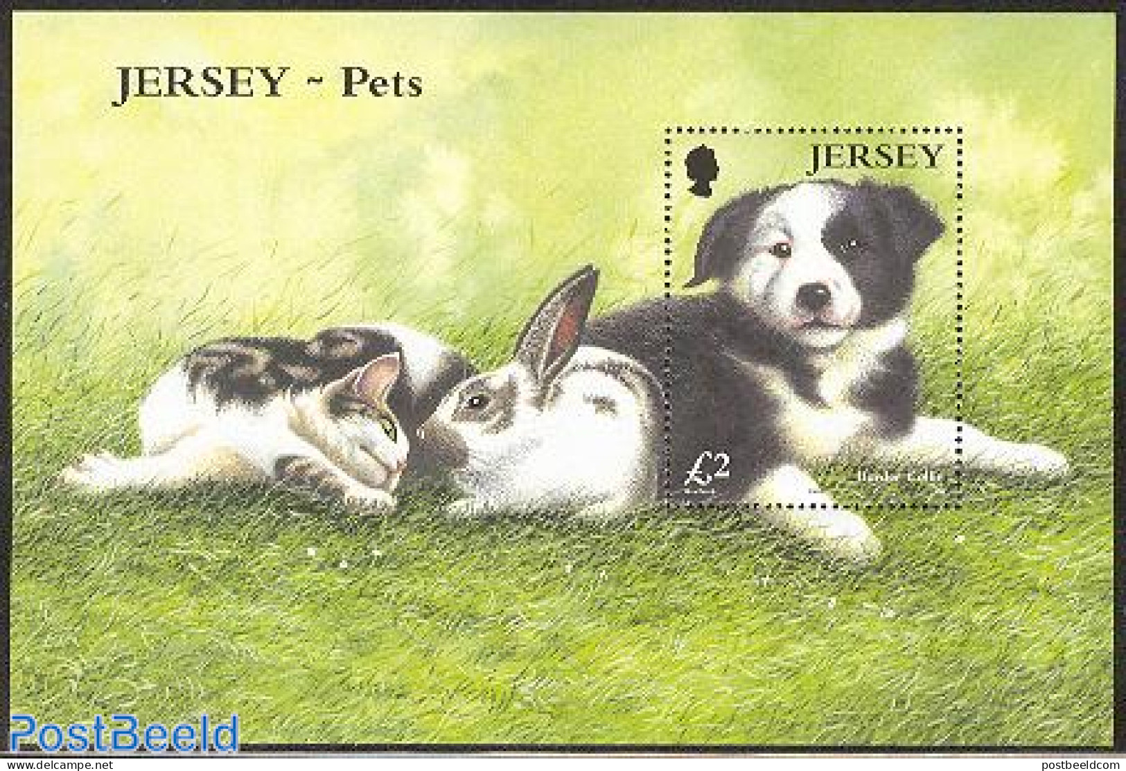Jersey 2003 Pets S/s, Mint NH, Nature - Animals (others & Mixed) - Cats - Dogs - Rabbits / Hares - Jersey