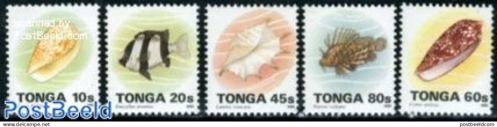 Tonga 1993 Marine Life 5v (with Year 1995), Mint NH, Nature - Fish - Shells & Crustaceans - Peces