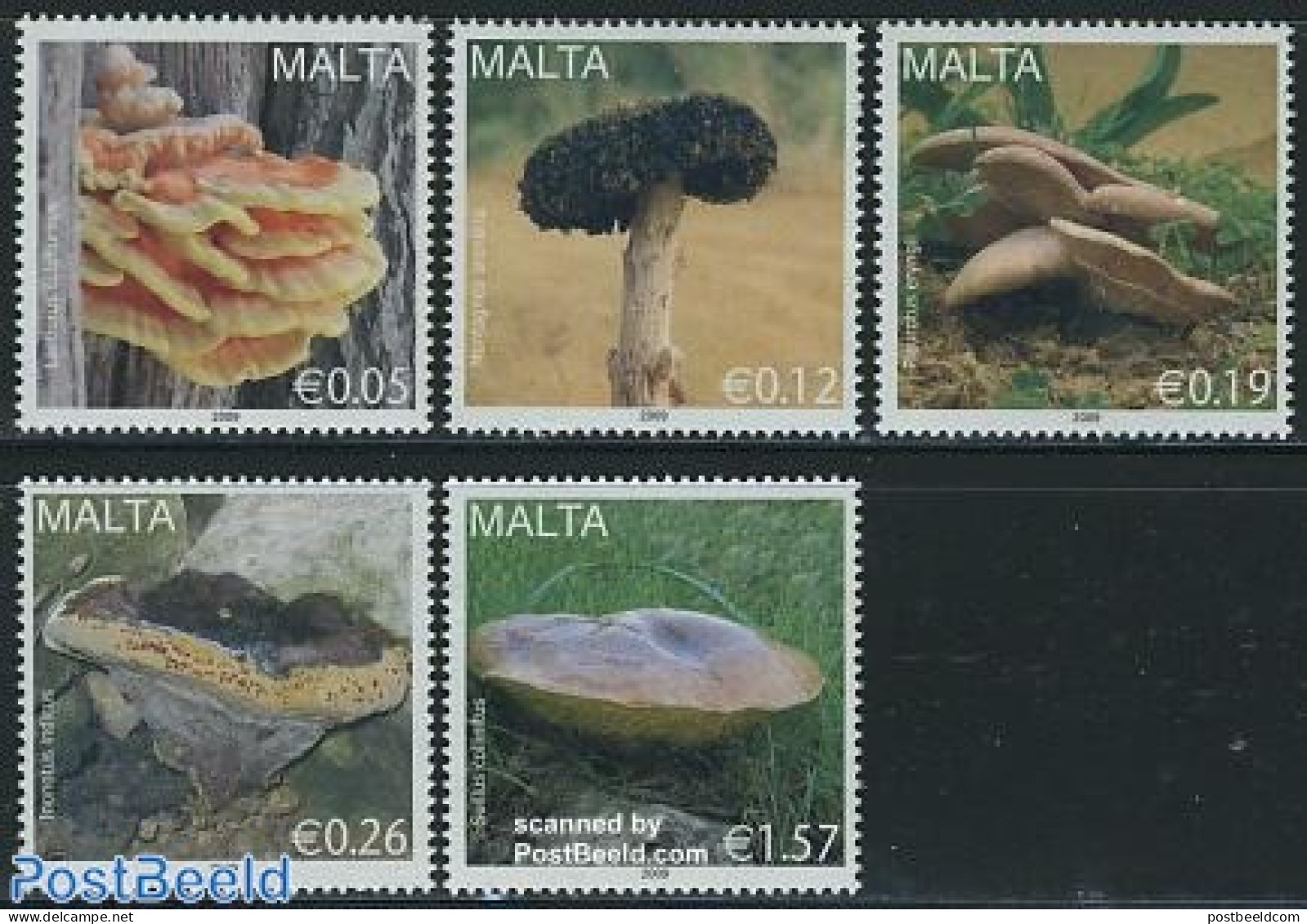 Malta 2009 Mushrooms 5v, Mint NH, Nature - Mushrooms - Mushrooms