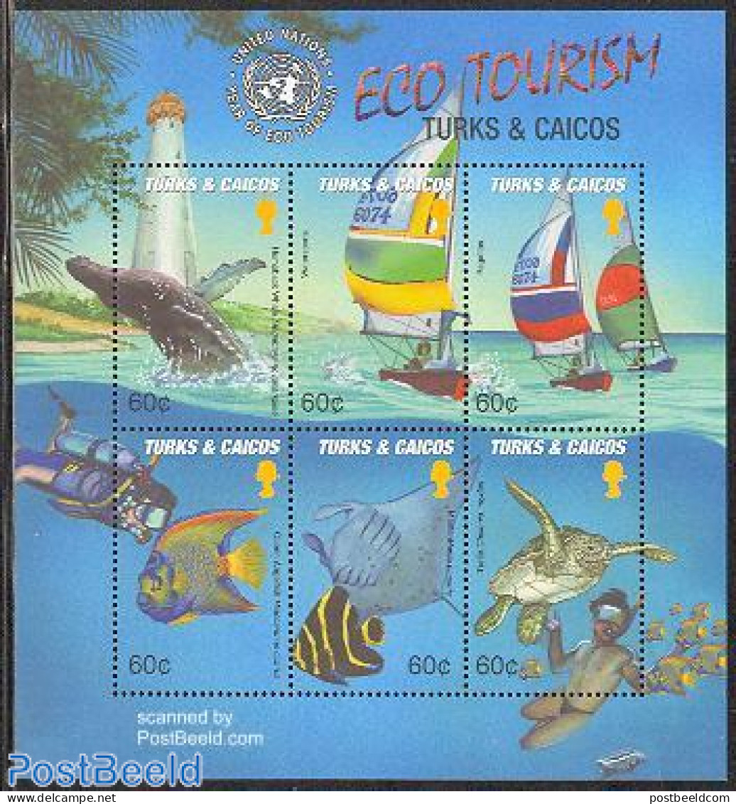 Turks And Caicos Islands 2002 Eco Tourism 6v M/s, Mint NH, Nature - Sport - Transport - Various - Fish - Sea Mammals -.. - Poissons