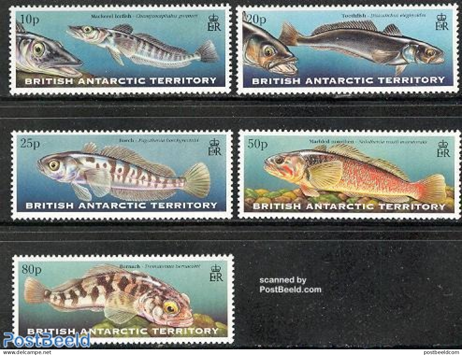 British Antarctica 1999 Fish 5v, Mint NH, Nature - Fish - Poissons