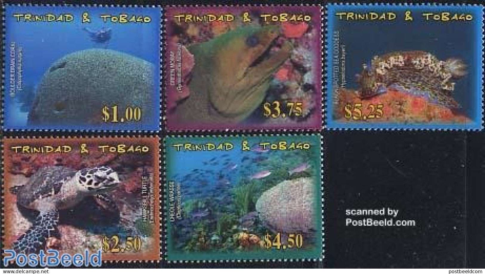 Trinidad & Tobago 2003 Marine Life 5v, Mint NH, Nature - Fish - Turtles - Fishes