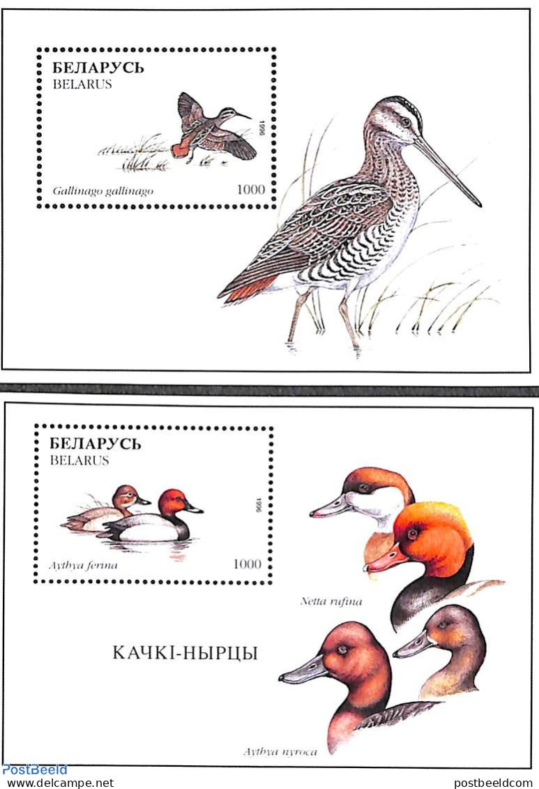Belarus 1996 Birds 2 S/s, Mint NH, Nature - Birds - Ducks - Wit-Rusland