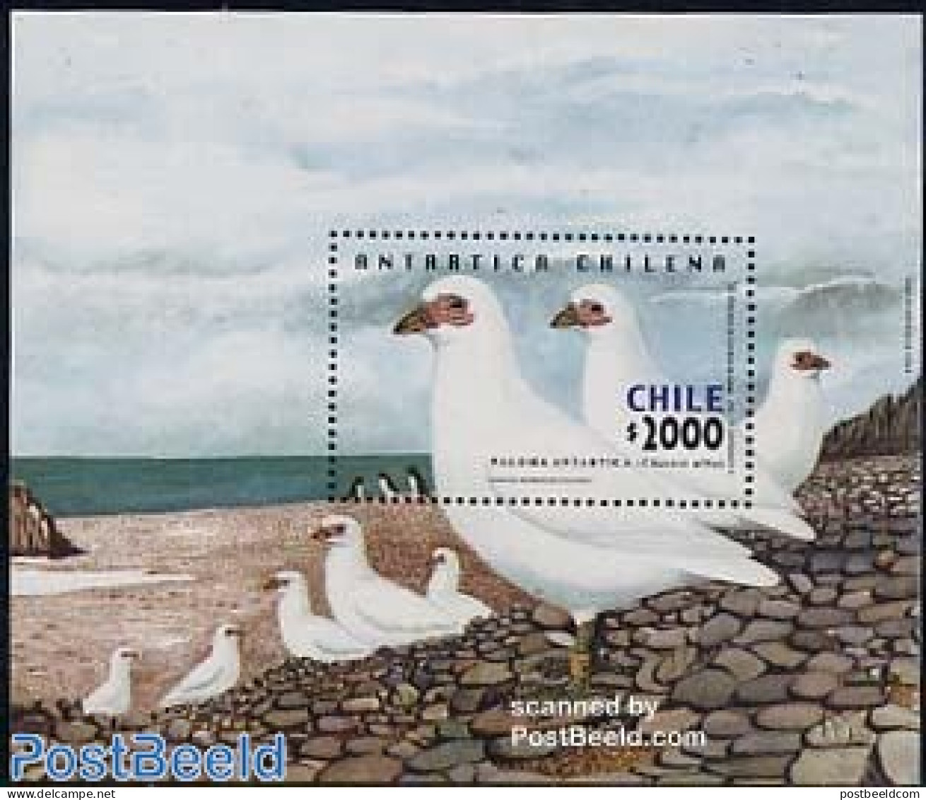 Chile 2001 Antarctic Region, Birds S/S, Mint NH, Nature - Science - Birds - The Arctic & Antarctica - Chili