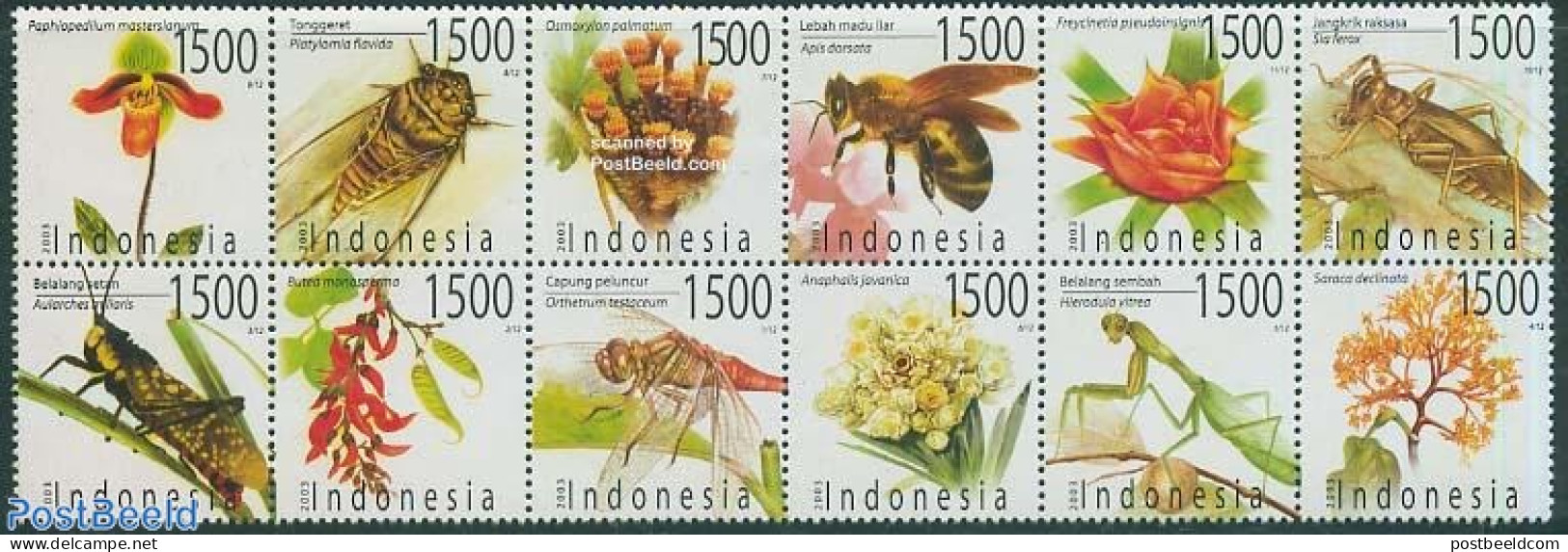 Indonesia 2003 Flowers & Insects 12v [+++++], Mint NH, Nature - Bees - Flowers & Plants - Insects - Indonesia