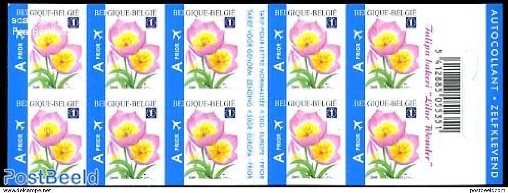 Belgium 2009 Flowers Foil Booklet, Mint NH, Nature - Flowers & Plants - Stamp Booklets - Ongebruikt