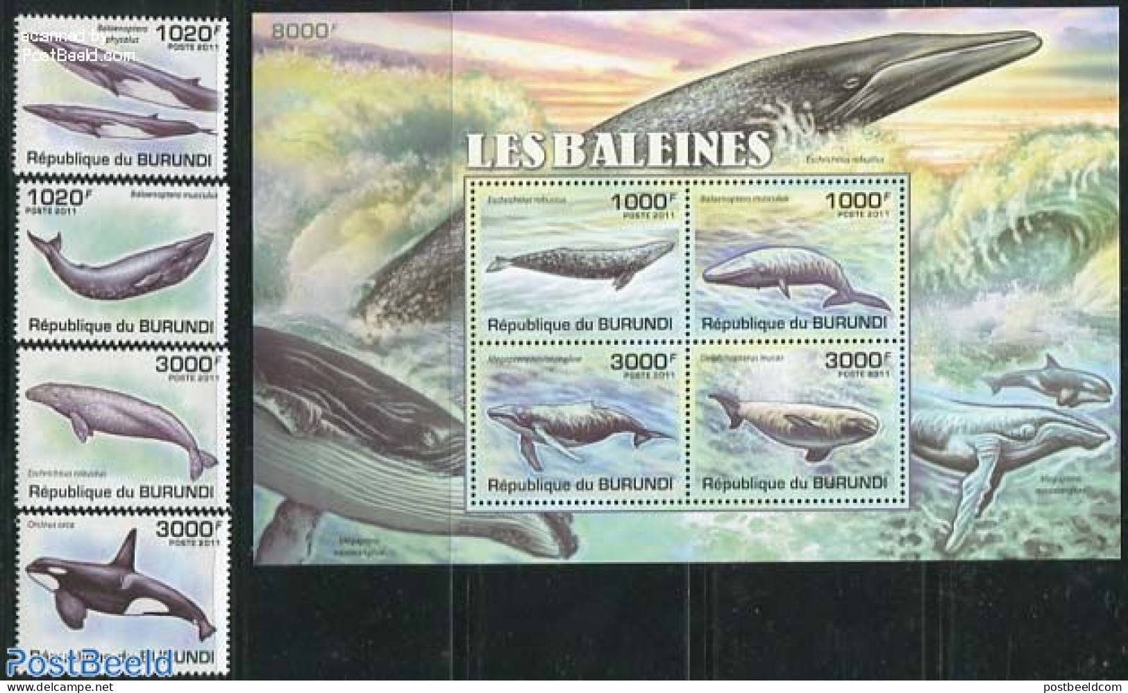 Burundi 2011 Whales 4v + S/s, Mint NH, Nature - Sea Mammals - Otros & Sin Clasificación