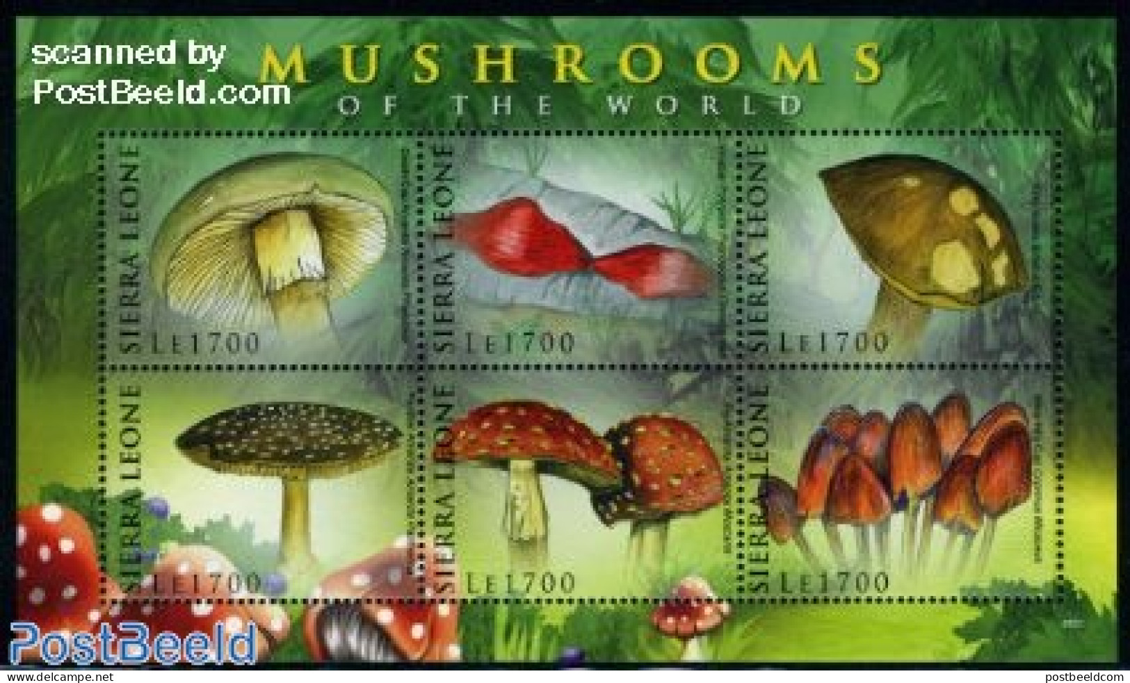 Sierra Leone 2009 Mushrooms 6v M/s, Mint NH, Nature - Mushrooms - Champignons