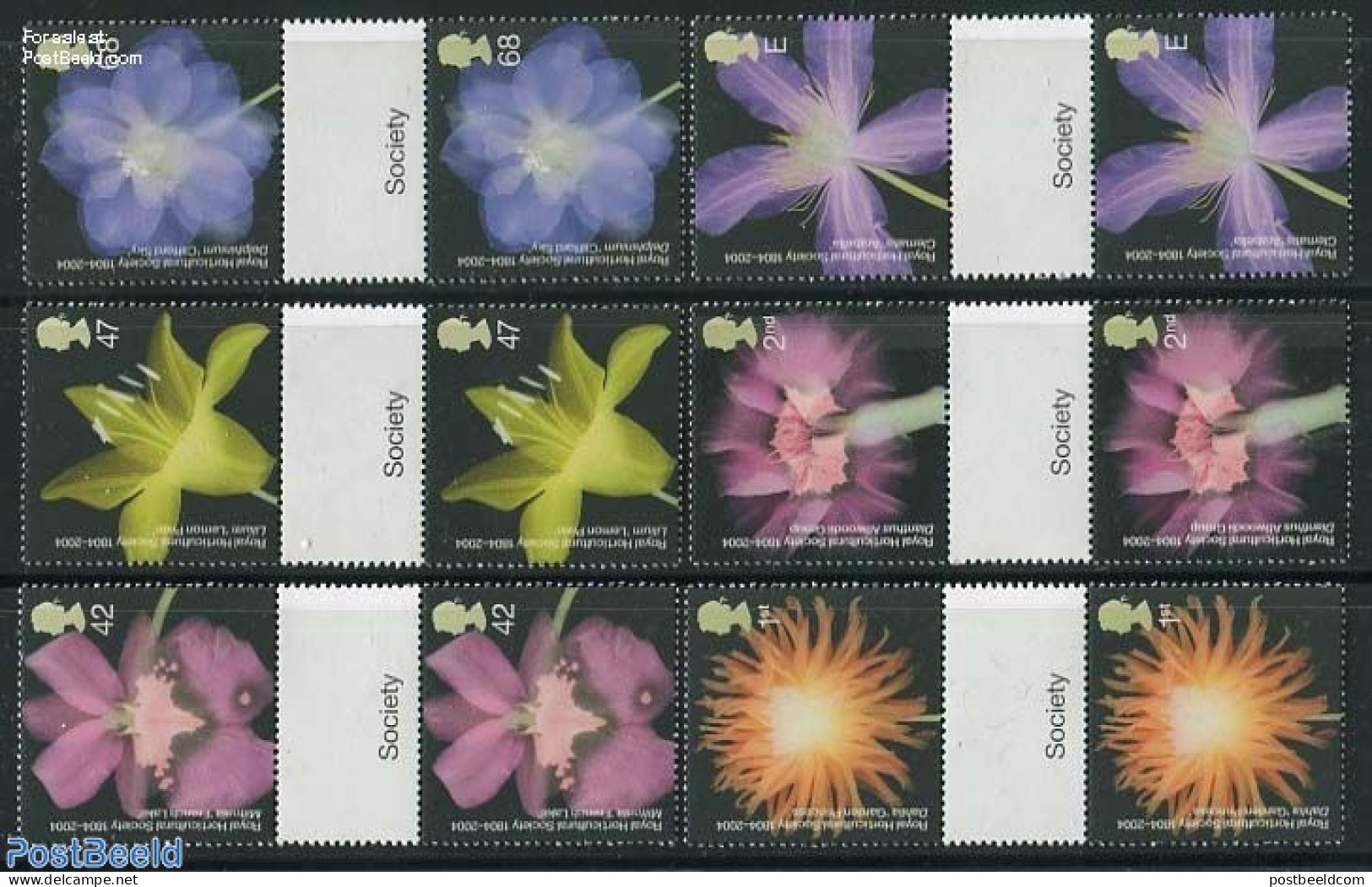 Great Britain 2004 Horticultural Society 6v, Gutterpairs, Mint NH, Nature - Flowers & Plants - Ongebruikt