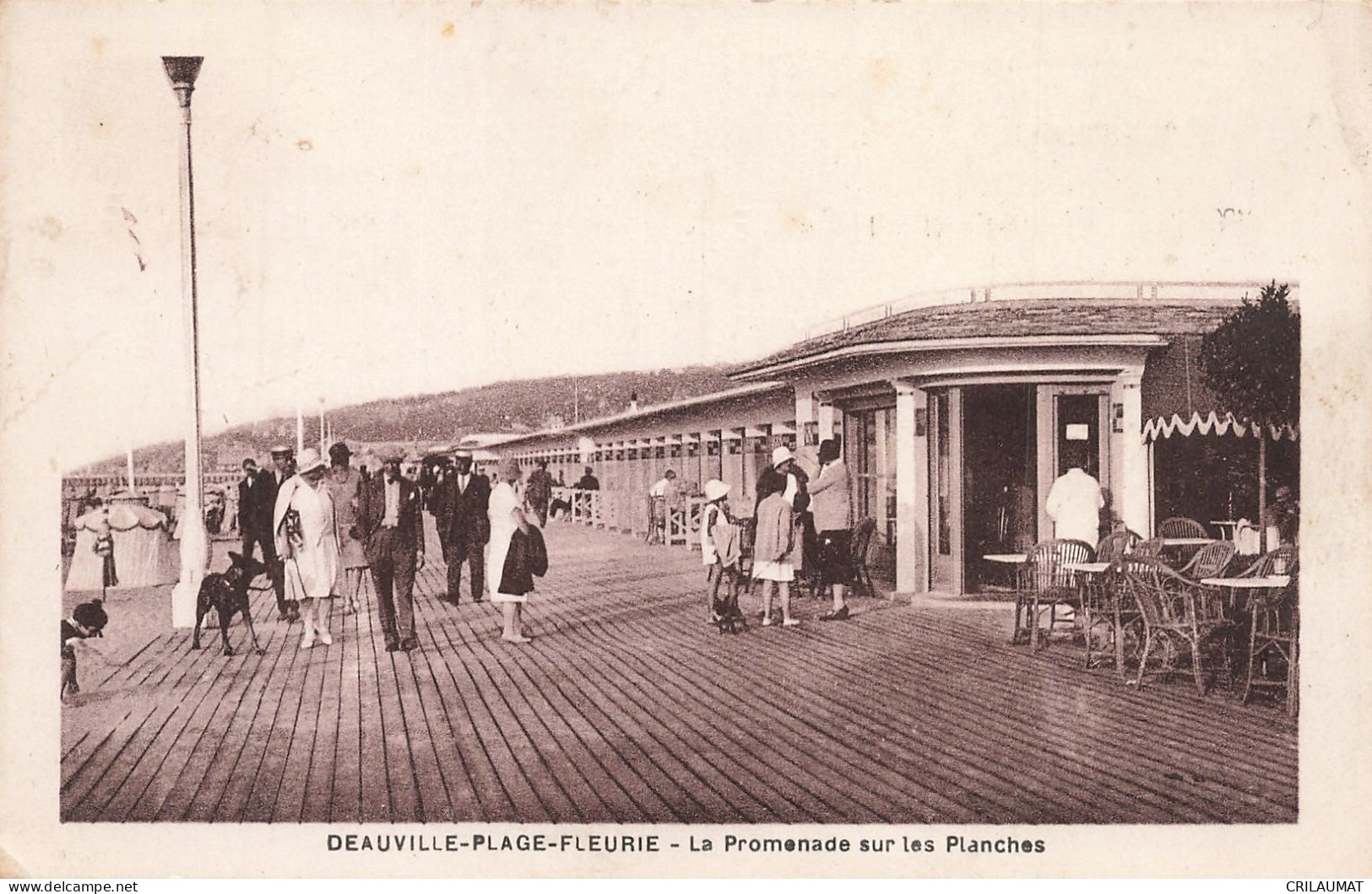14-DEAUVILLE PLAGE FLEURIE-N°T5277-E/0103 - Deauville