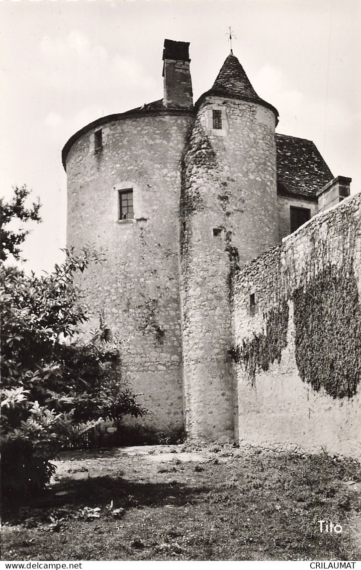 24-CHÂTEAU DE MICHEL DE MONTAIGNE-N°T5277-G/0375 - Other & Unclassified