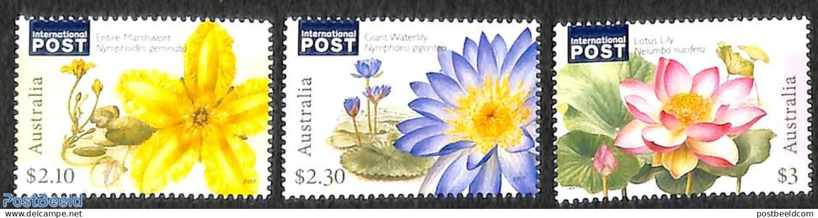 Australia 2017 Water Plants 3v, Mint NH, Nature - Flowers & Plants - Unused Stamps