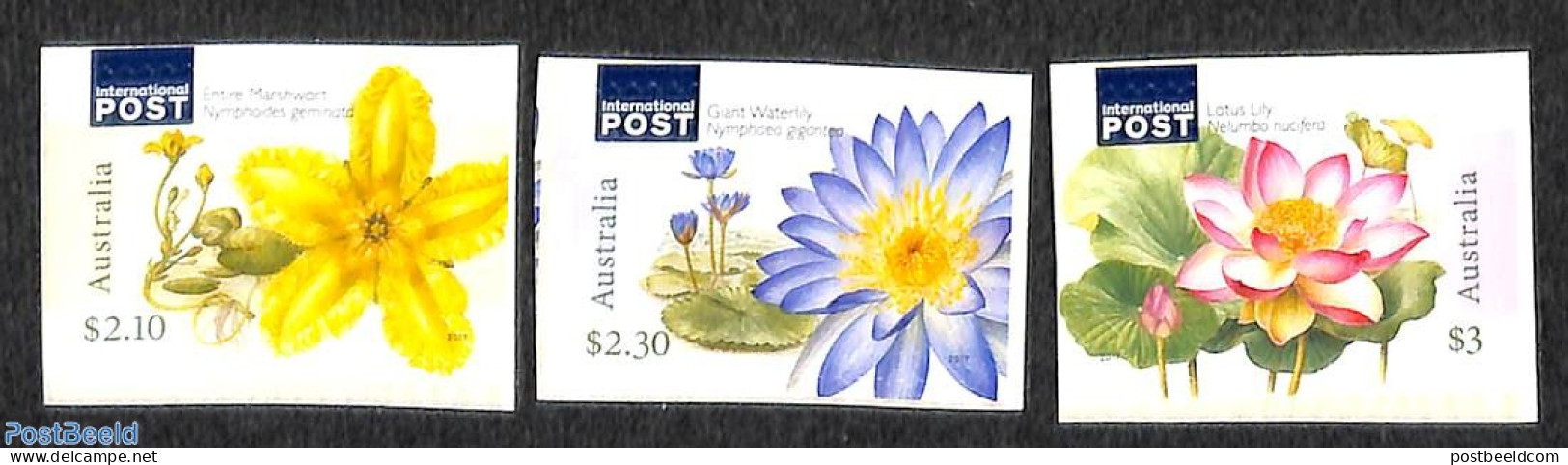 Australia 2017 Water Plants 3v S-a, Mint NH, Nature - Flowers & Plants - Unused Stamps