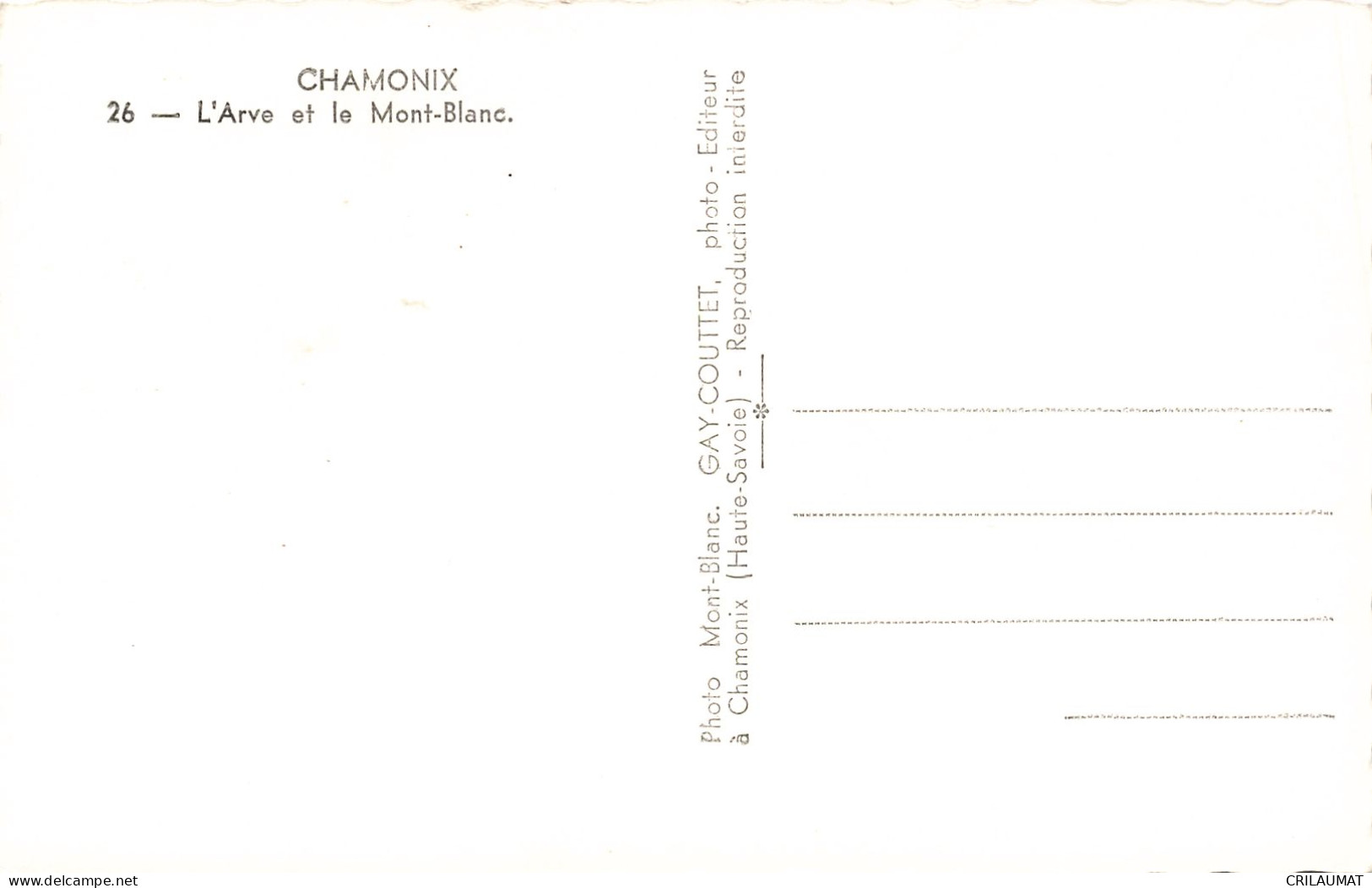 74-CHAMONIX L ARVE ET LE MONT BLANC-N°T5277-G/0287 - Chamonix-Mont-Blanc