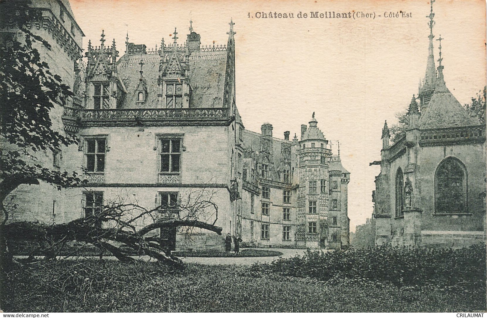 18-MEILLANT LE CHÂTEAU-N°T5277-F/0315 - Meillant