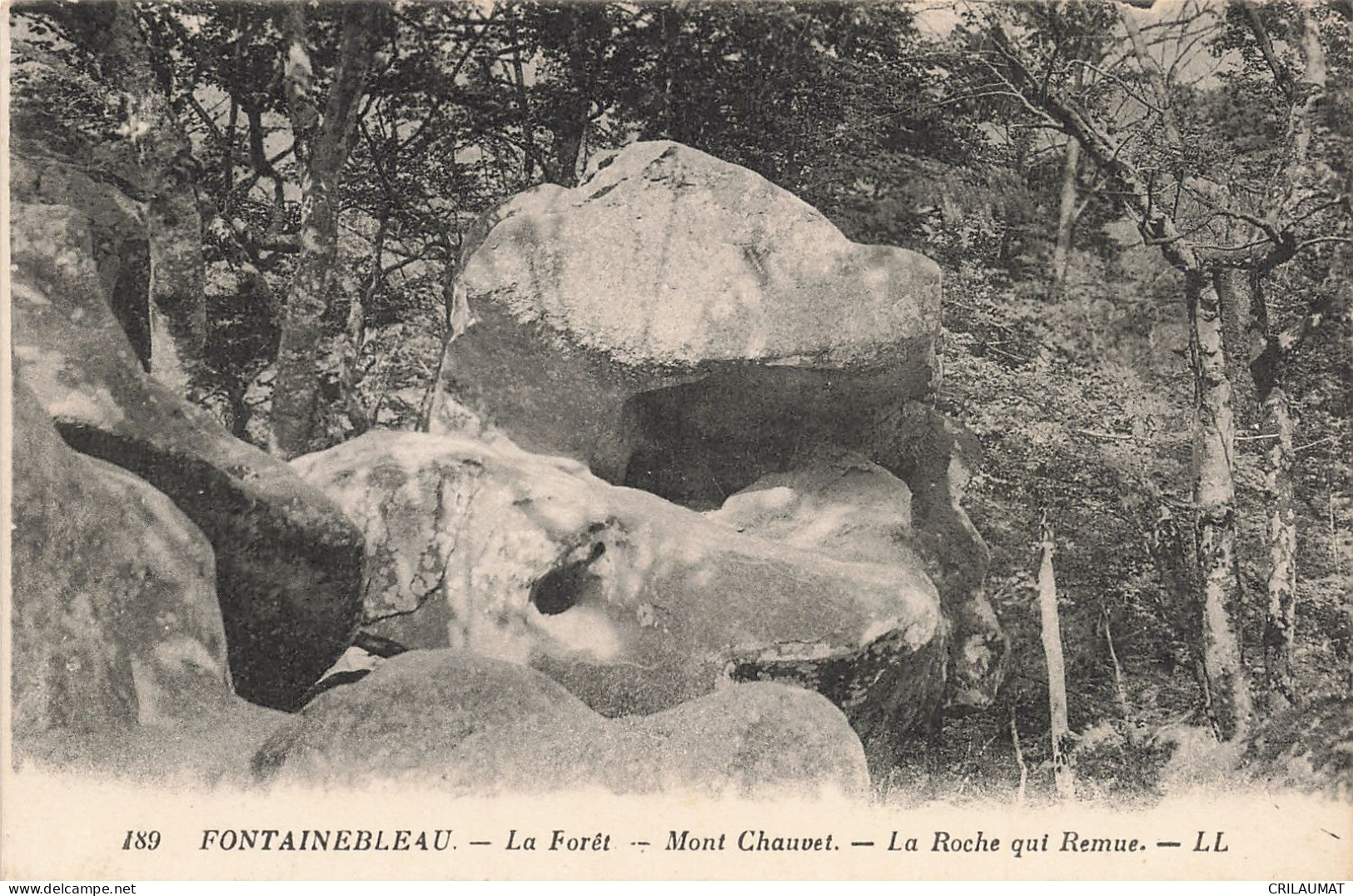 77-FONTAINEBLEAU LA FORET MONT CHAUVET-N°T5277-F/0095 - Fontainebleau