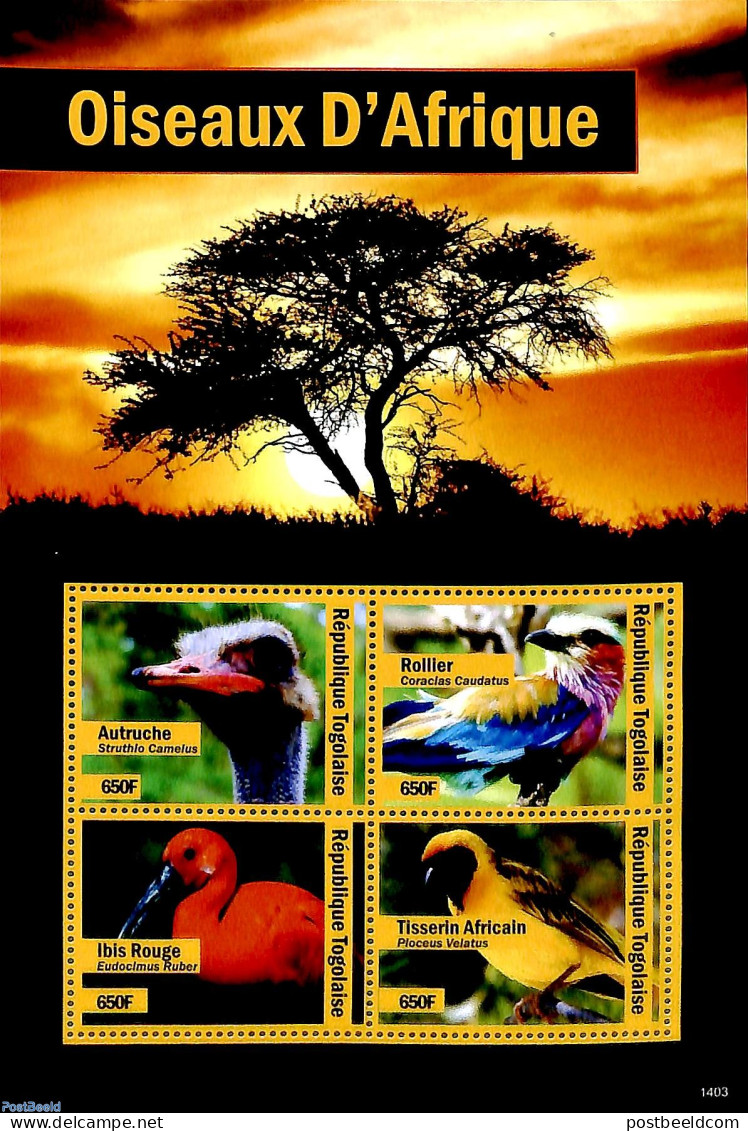 Togo 2014 African Birds 4v M/s, Mint NH, Nature - Birds - Togo (1960-...)