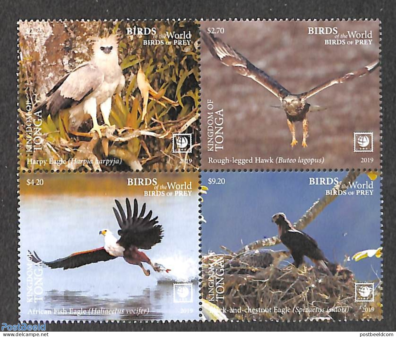 Tonga 2019 Birds Of Prey 4v [+], Mint NH, Nature - Birds - Birds Of Prey - Owls - Altri & Non Classificati