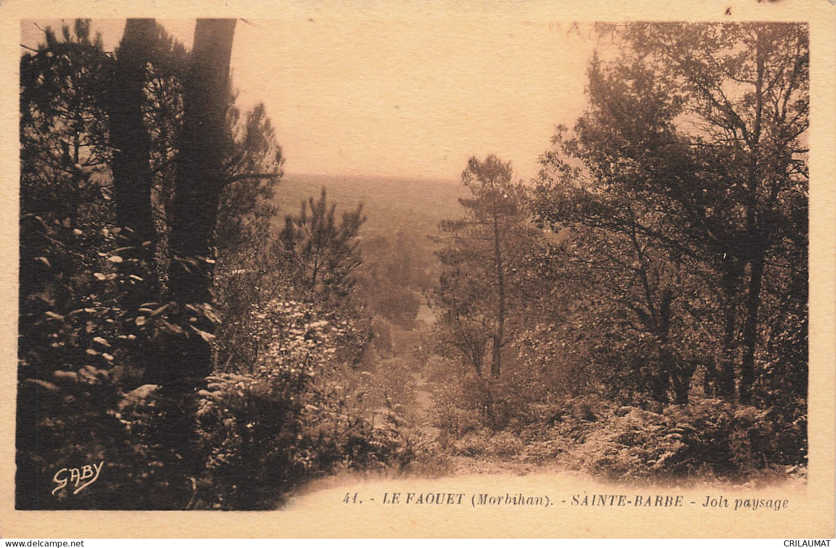 56-LE FAOUET-N°T5278-B/0231 - Le Faouet