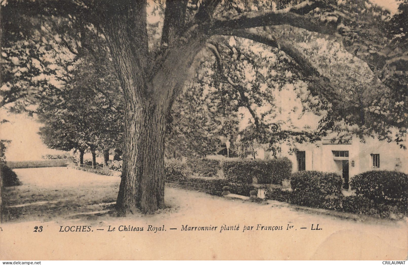 37-LOCHES-N°T5278-A/0309 - Loches