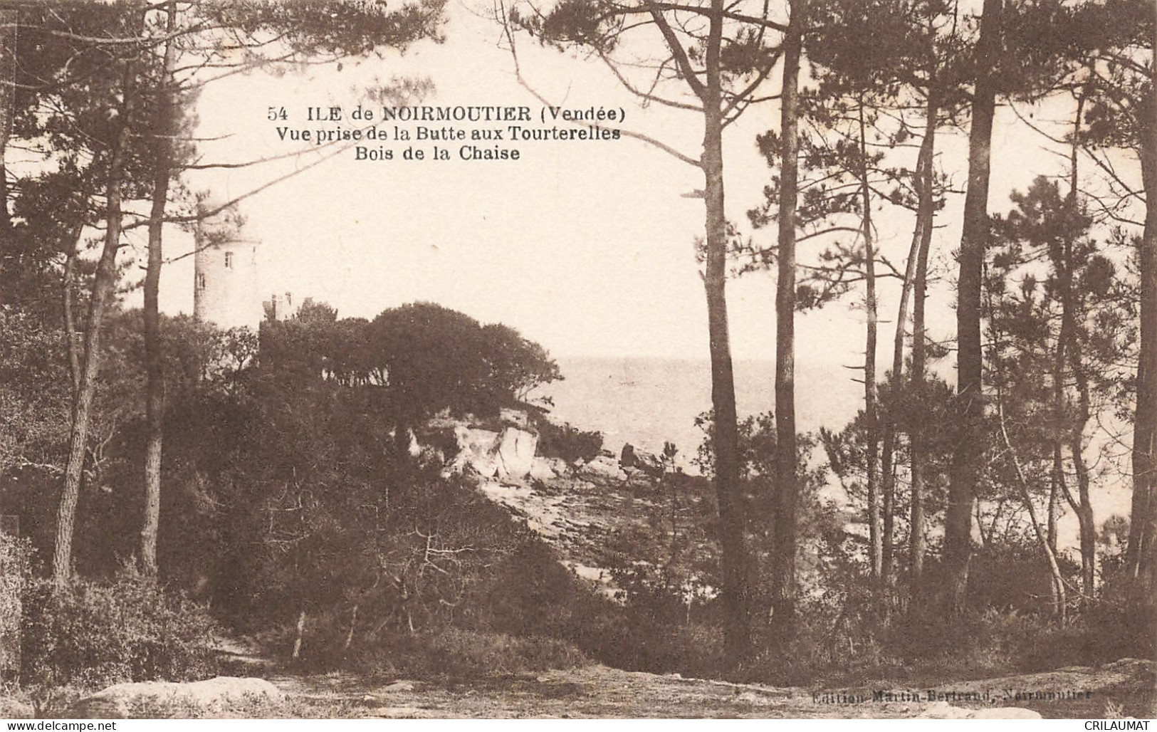 85-ILE DE NOIRMOUTIER BOIS DE LA CHAISE-N°T5278-A/0149 - Ile De Noirmoutier
