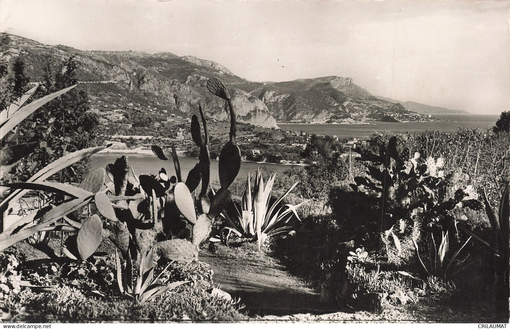 06-LE PLATEAU DU MONT BORON-N°T5278-C/0147 - Autres & Non Classés