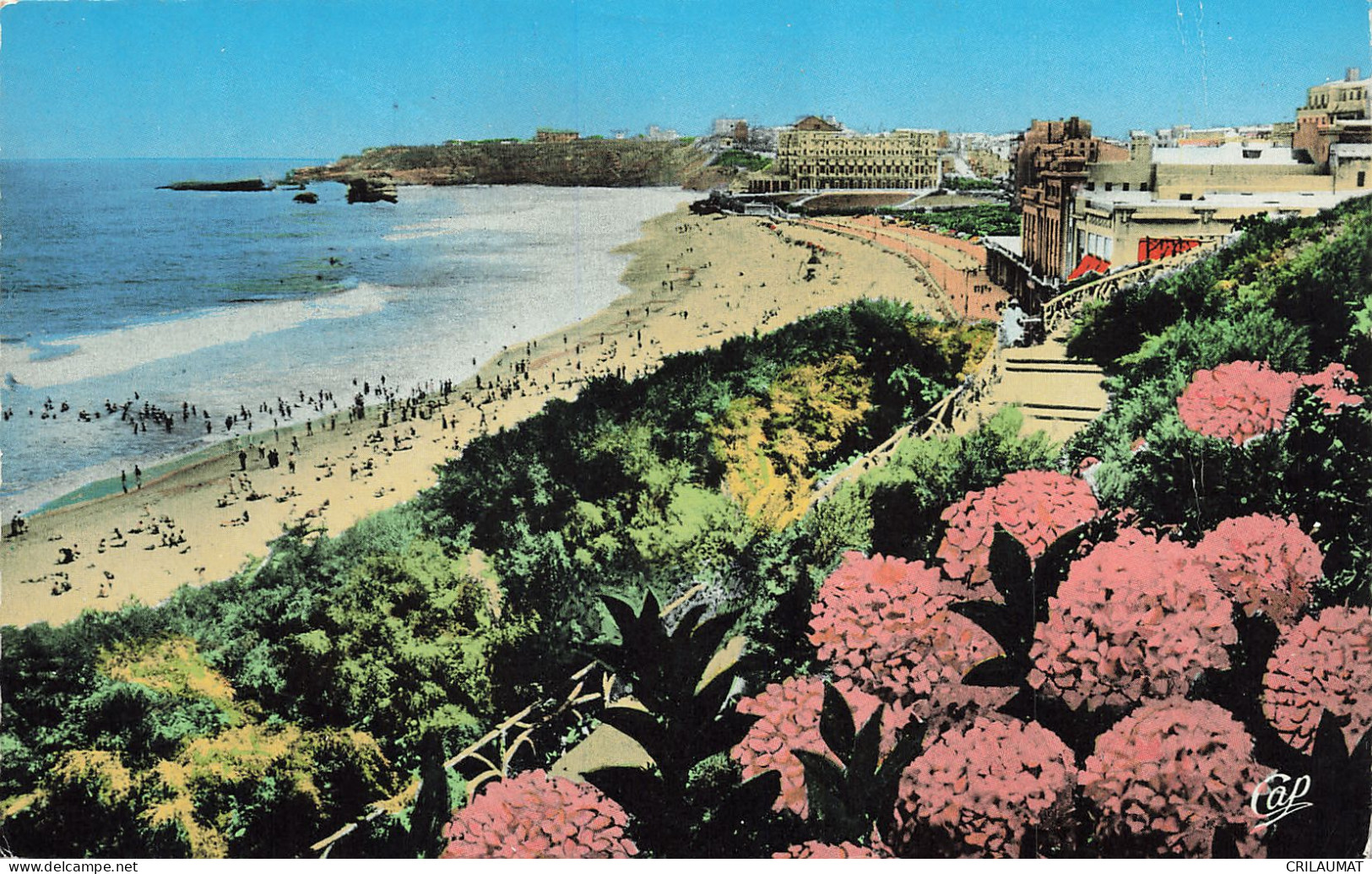 64-BIARRITZ-N°T5278-C/0089 - Biarritz