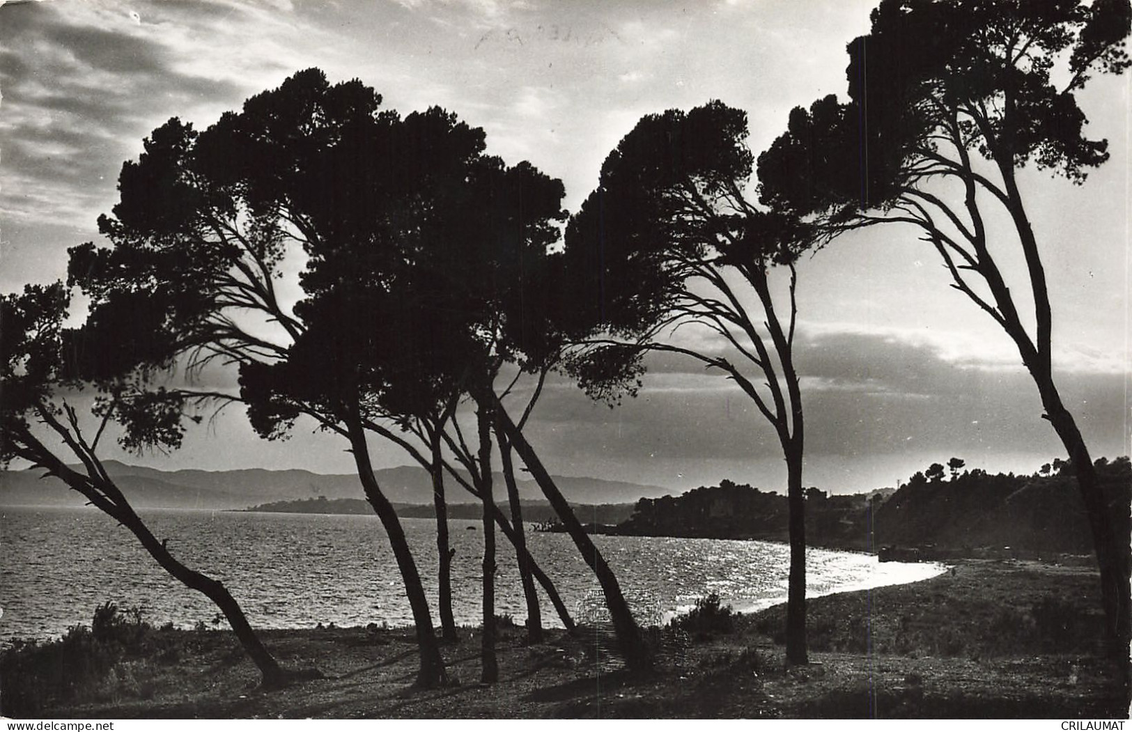 06-PAYSAGE DE COTE D AZUR-N°T5278-C/0039 - Andere & Zonder Classificatie