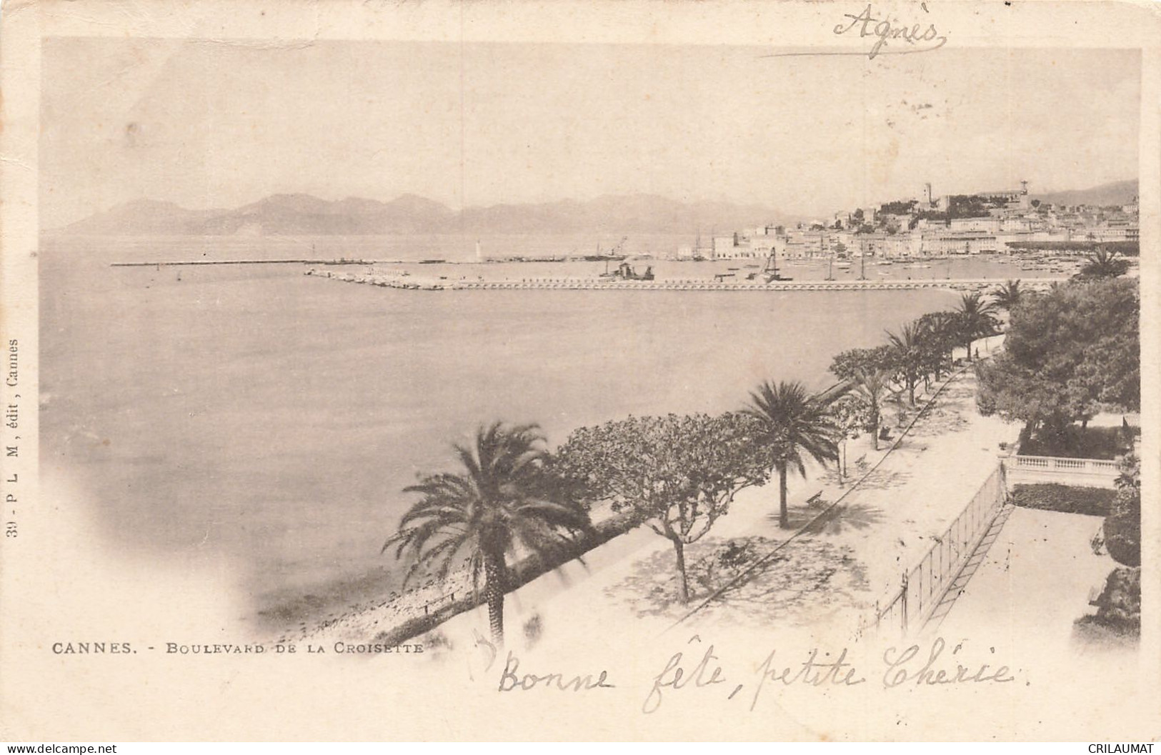 06-CANNES-N°T5278-F/0245 - Cannes