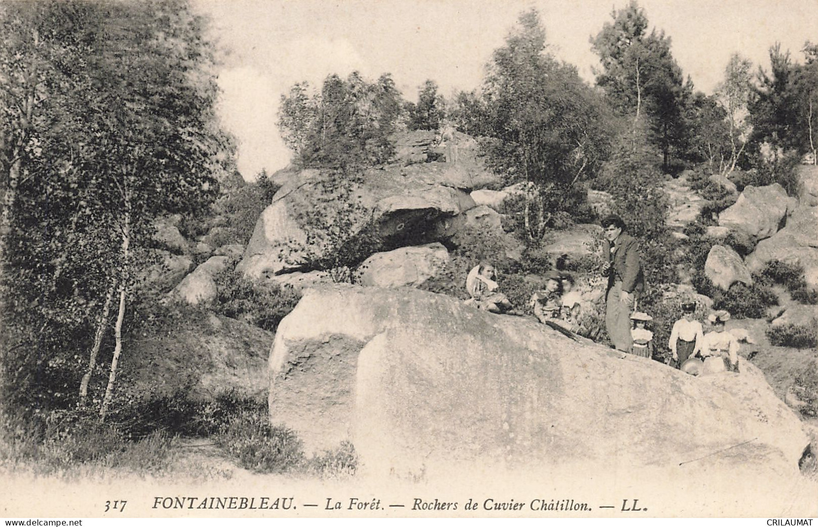 77-FONTAINEBLEAU LA FORET ROCHERS DE CUVIER CHATILLON-N°T5278-F/0239 - Fontainebleau