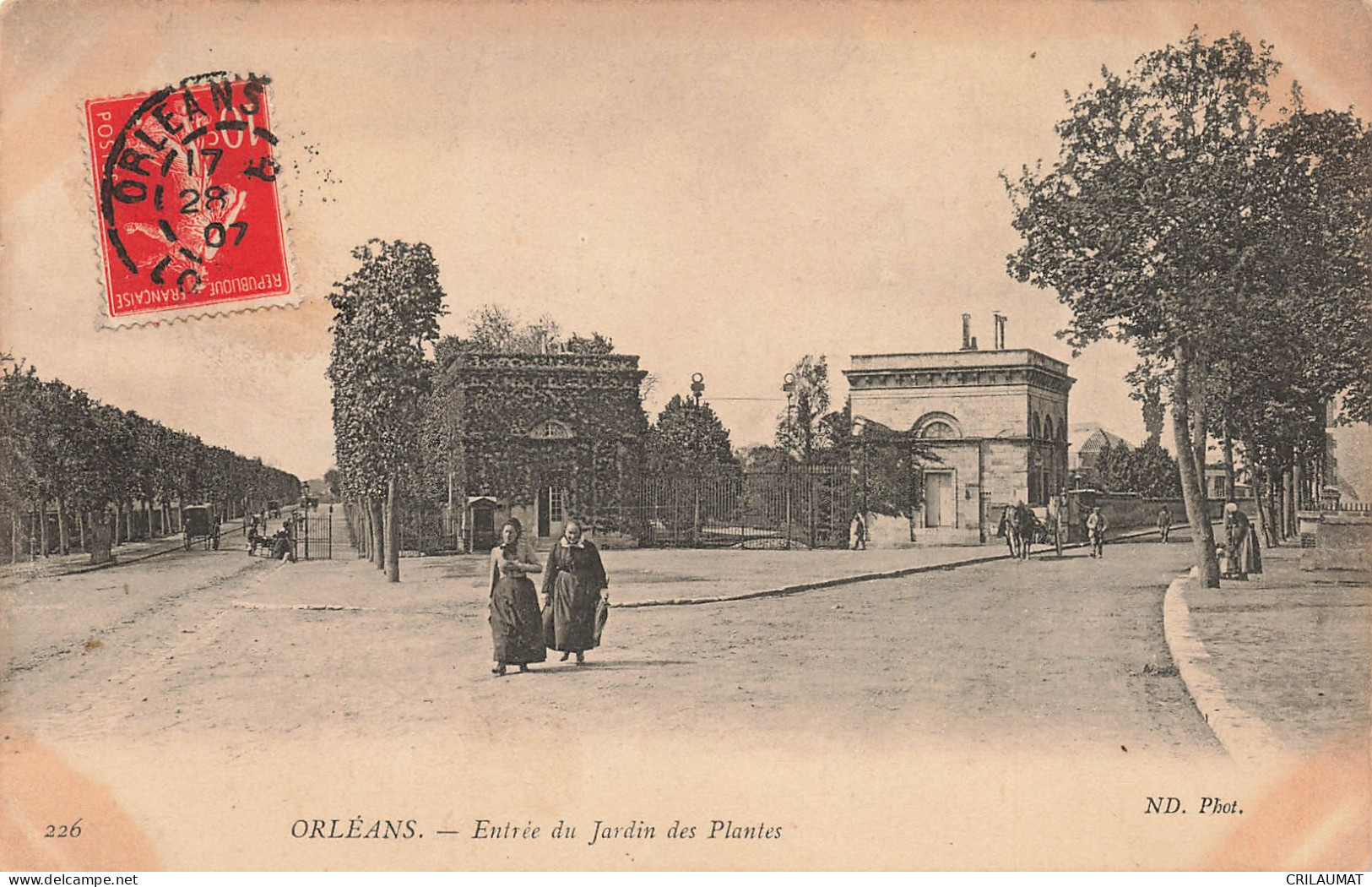 45-ORLEANS-N°T5279-A/0227 - Orleans