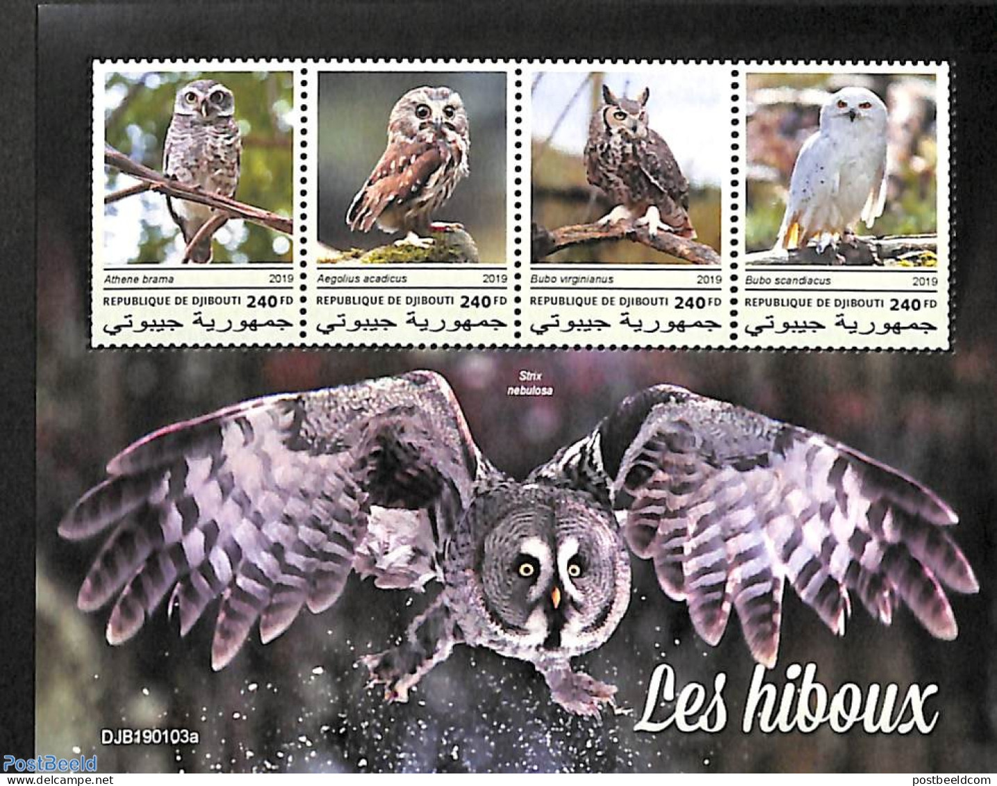 Djibouti 2019 Owls 4v M/s, Mint NH, Nature - Birds - Birds Of Prey - Owls - Gibuti (1977-...)