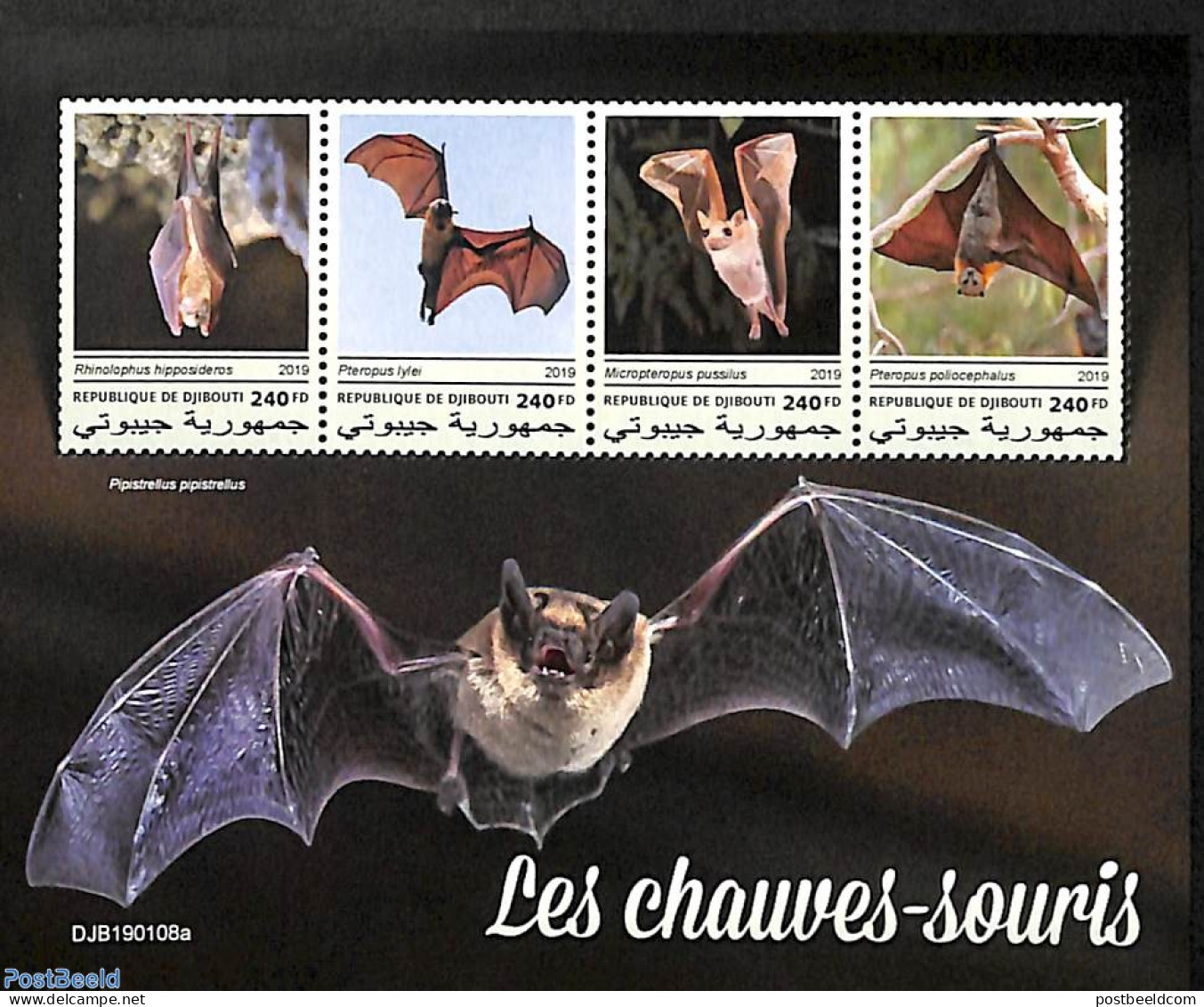 Djibouti 2019 Bats 4v M/s, Mint NH, Nature - Bats - Gibuti (1977-...)