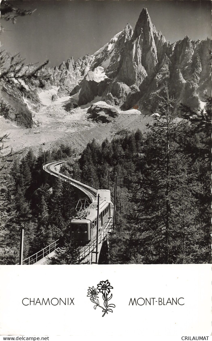 74-CHAMONIX MONT BLANC AIGUILLE DU DRU-N°T5279-D/0023 - Chamonix-Mont-Blanc