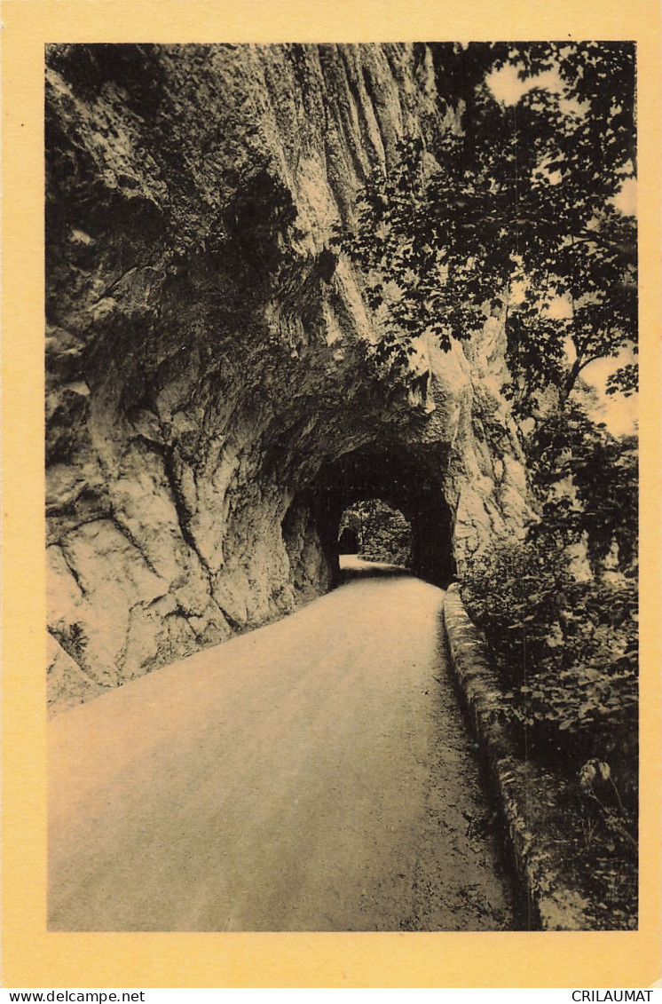 38-ROUTE DE LA GRANDE CHARTREUSE LES TUNNELS-N°T5279-C/0229 - Andere & Zonder Classificatie