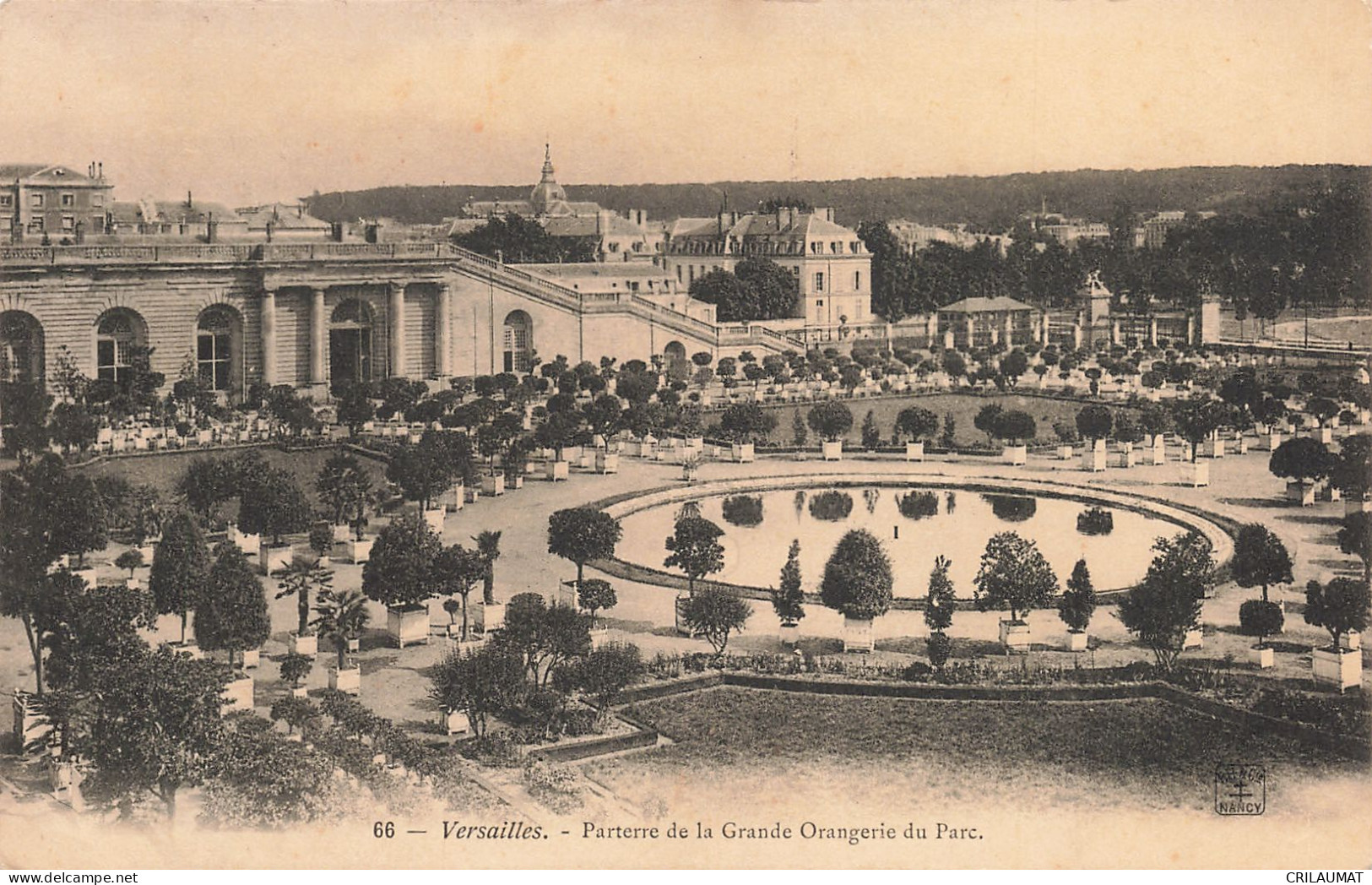 78-VERSAILLES GRANDE ORANGERIE DU PARC-N°T5279-F/0325 - Versailles (Château)