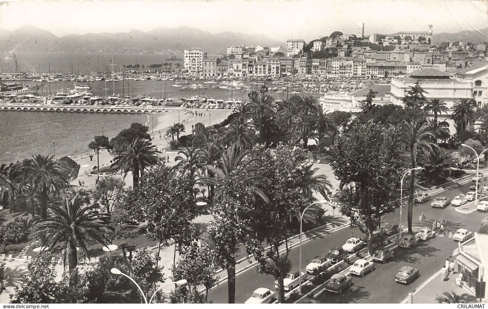 06-CANNES-N°T5279-E/0049 - Cannes