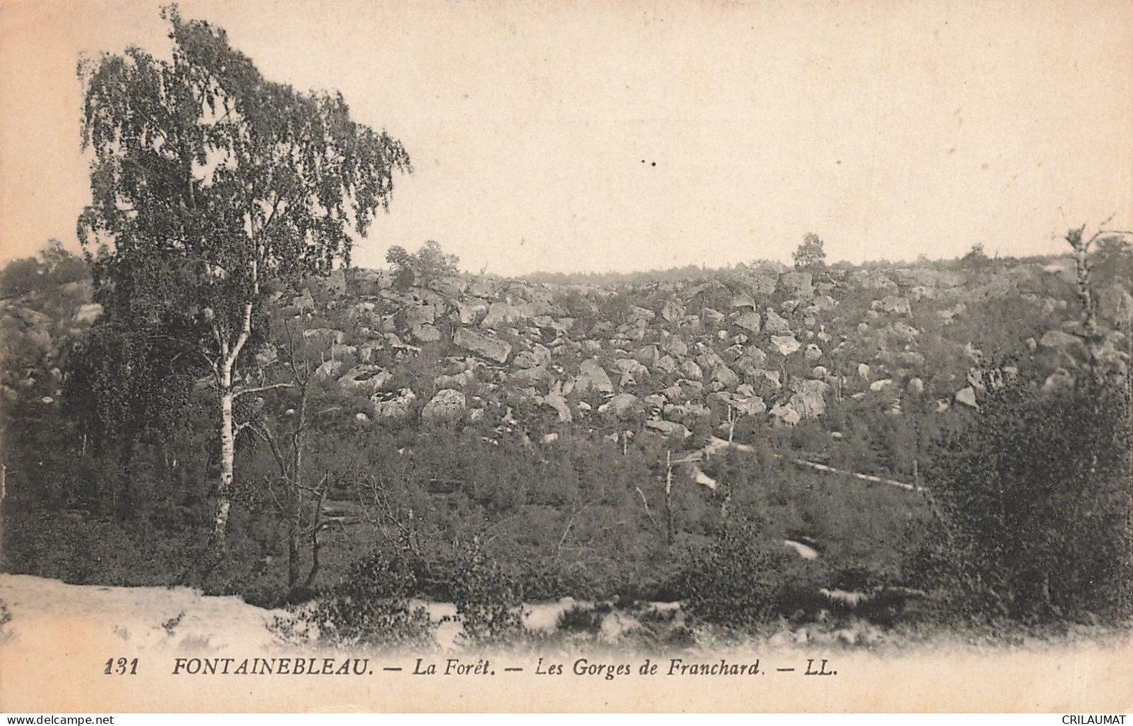 77-FONTAINEBLEAU LA FORET LES GORGES DE FRANCHARD-N°T5280-A/0301 - Fontainebleau