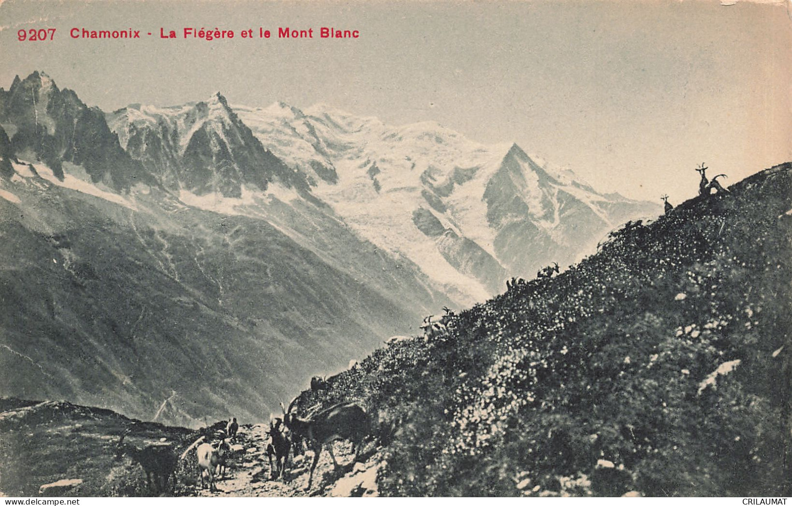 74-CHAMONIX LA FLEGERE ET LE MONT BLANC-N°T5280-C/0115 - Chamonix-Mont-Blanc