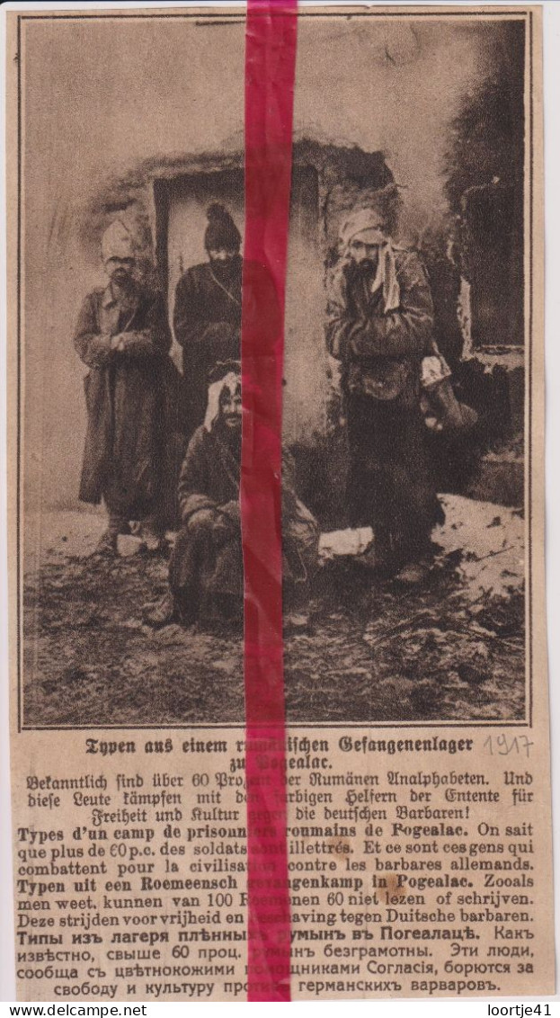 Oorlog Guerre 14/18 - Prisonniers De Pogealac Gevangenen - Orig. Knipsel Coupure Tijdschrift Magazine - 1917 - Unclassified