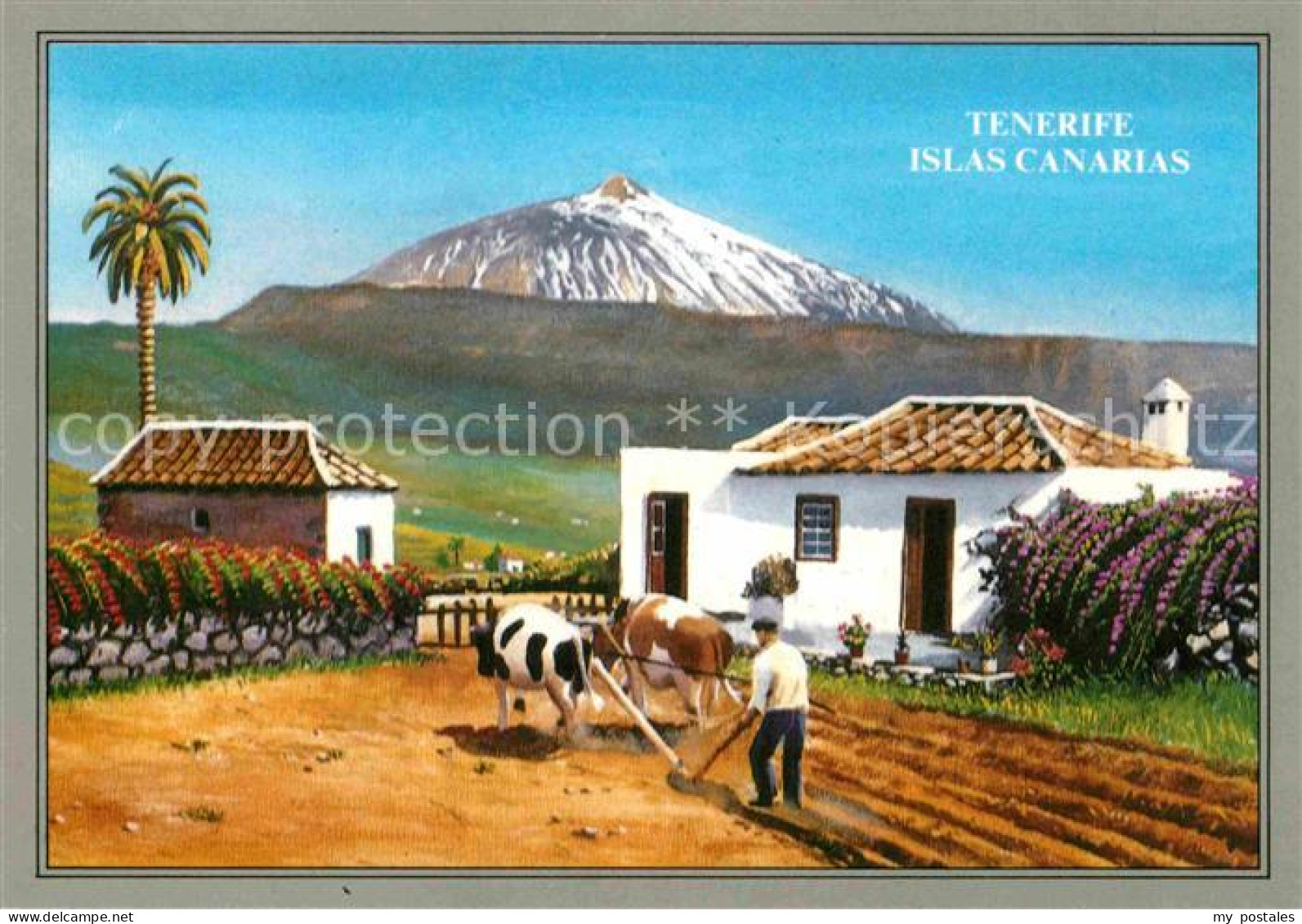 72852078 Tenerife El Teide  Islas Canarias Spanien - Autres & Non Classés