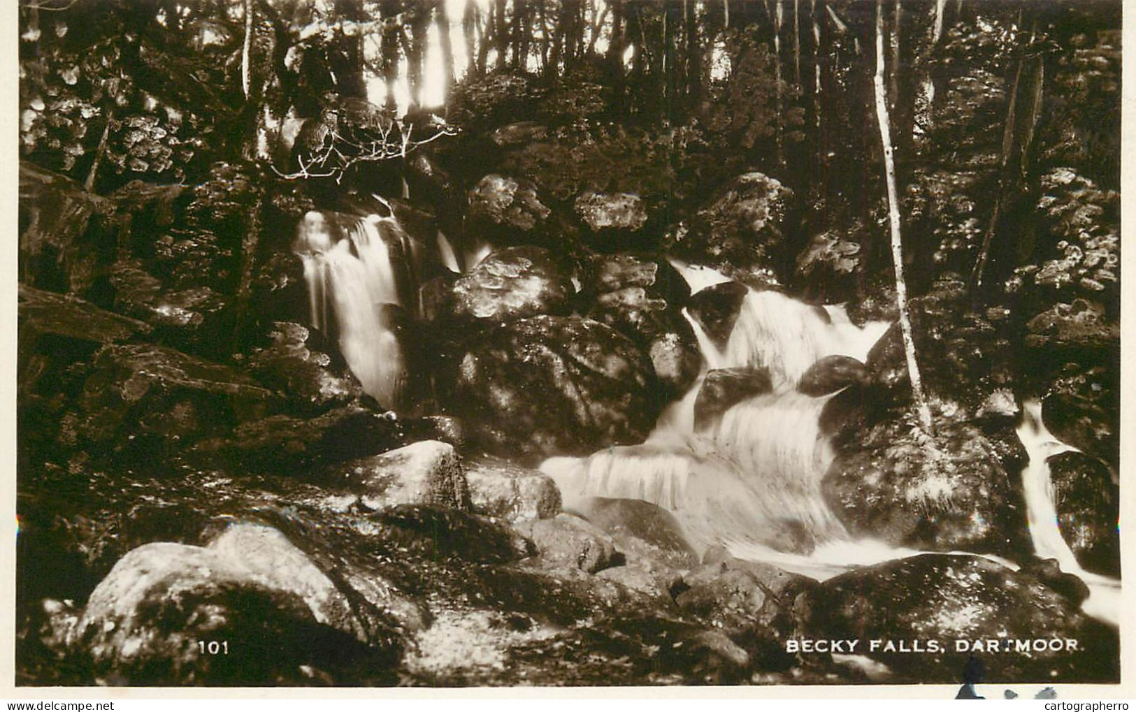 England Dartmoor Becky Falls - Dartmoor