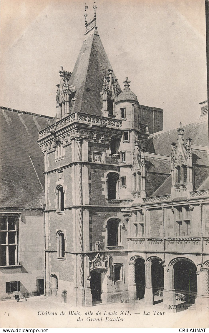 41-BLOIS LE CHÂTEAU-N°T5280-H/0081 - Blois