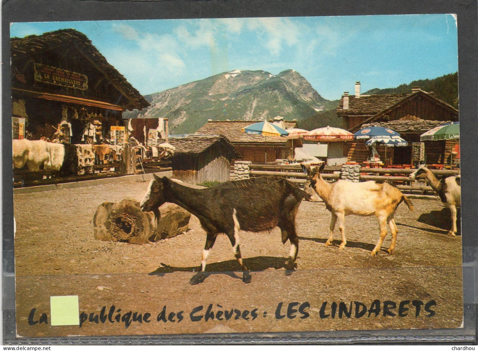 LES LINDARETS // Lot 15 // Chèvres - Sonstige & Ohne Zuordnung