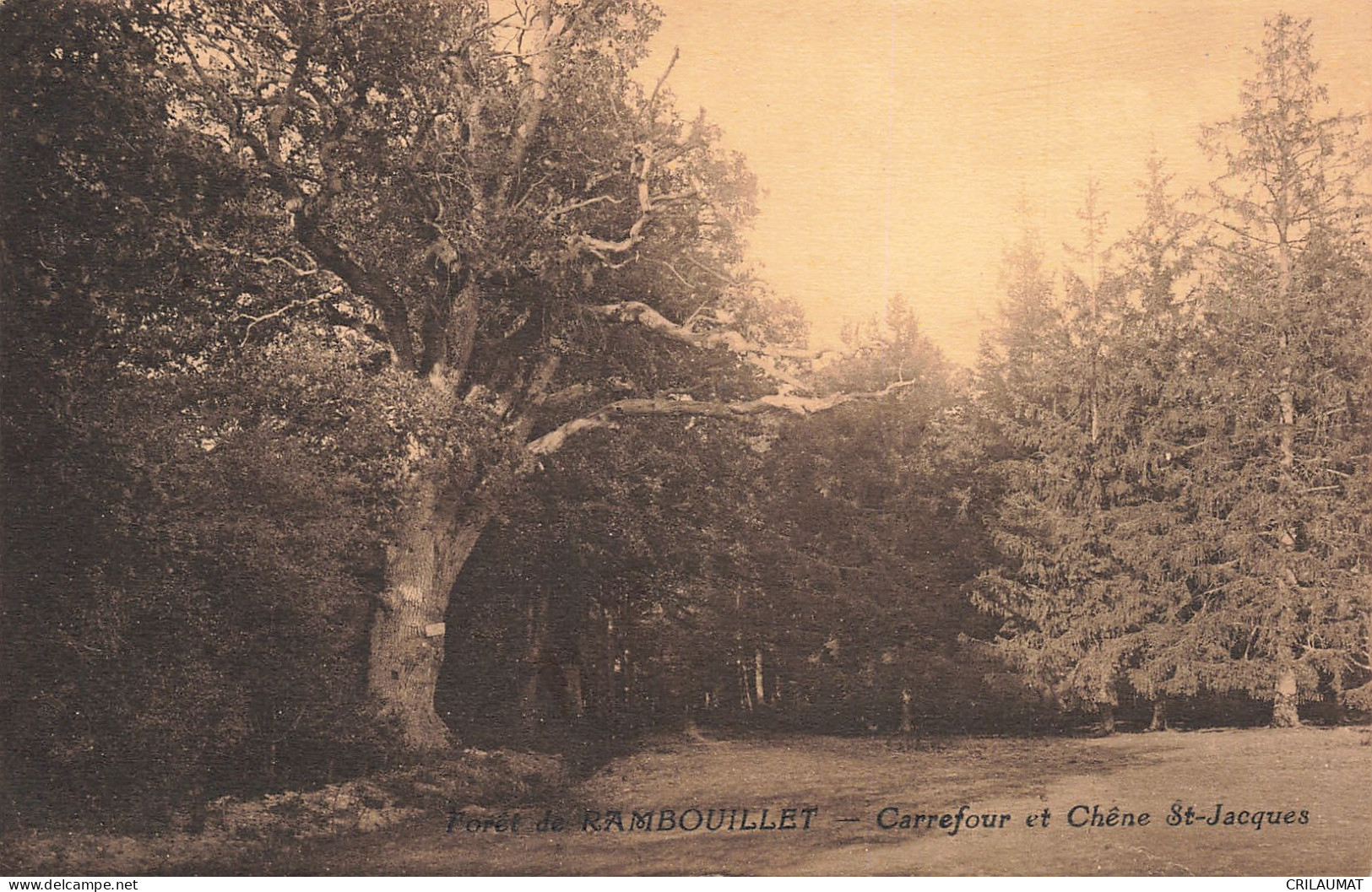 78-RAMBOUILLET-N°T5281-C/0379 - Rambouillet