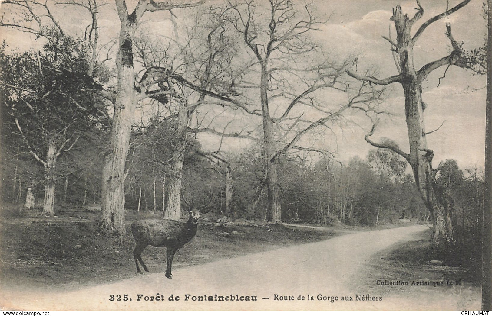 77-FONTAINEBLEAU LA FORET-N°T5281-C/0353 - Fontainebleau