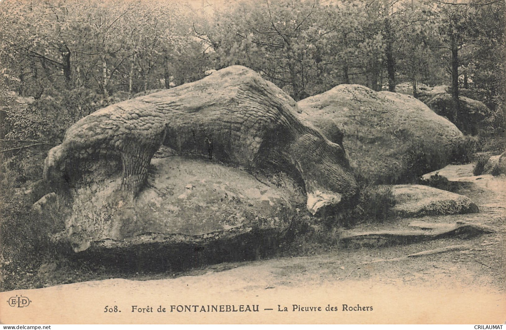 77-FONTAINEBLEAU LA FORET-N°T5281-C/0139 - Fontainebleau