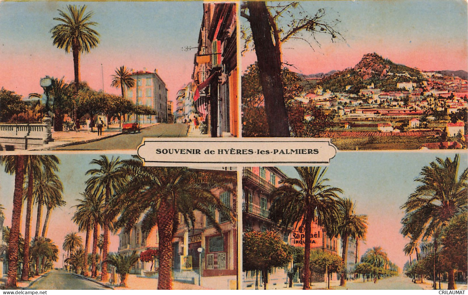 83-HYERES LES PALMIERS-N°T5281-D/0291 - Hyeres